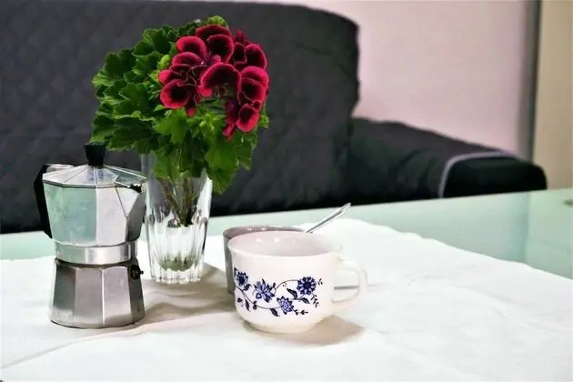 Classic Daire, 2 Yatak Odası