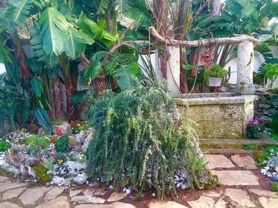 Apart Daire (Fiore 2)