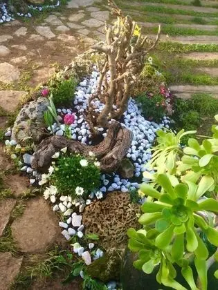 Apart Daire (Fiore 2)