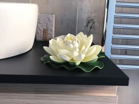 Deluxe Oda, Balkon, Şehir Manzaralı (Smile)