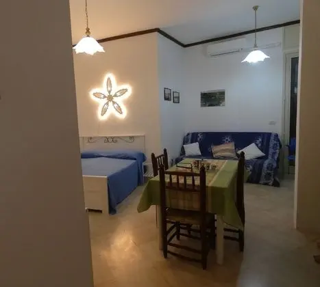 Basic Stüdyo