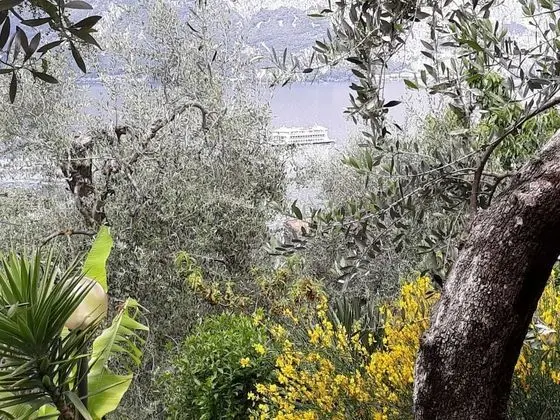 Apart Daire, Göl Manzaralı