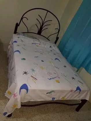 Tek Büyük Yataklı Oda, 1 Çift Kişilik Yatak