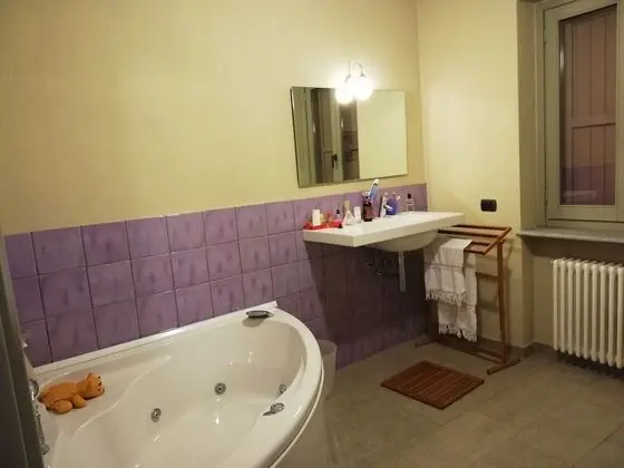Deluxe Tek Büyük Yataklı Oda, 1 Büyük (Queen) Boy Yatak, Ortak Banyo