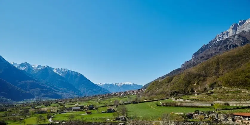 Dört Kişilik Oda