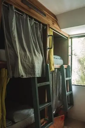 Habitacion Compartida (Cocles)