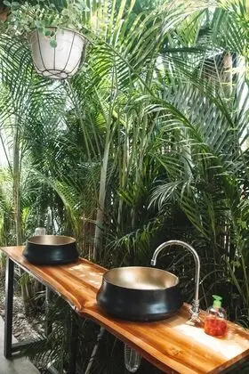 Habitacion Compartida (Manzanillo)