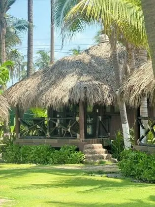 Oda