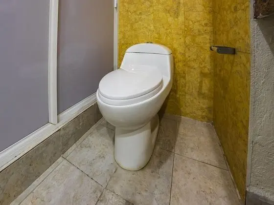 Premium Stüdyo Süit, Şehir Manzaralı