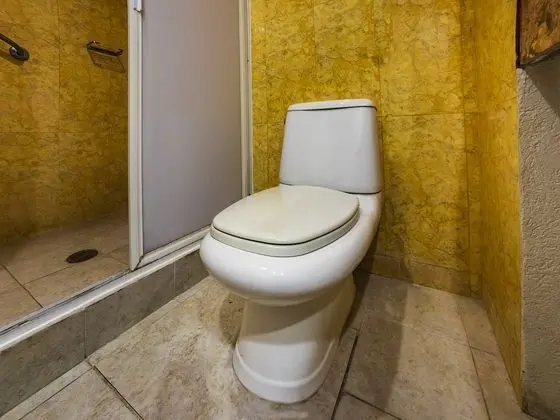 Premium Tek Büyük Yataklı Oda, Okyanus Manzaralı
