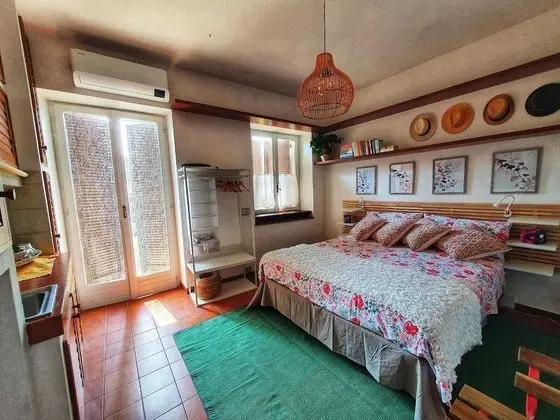 Tek Büyük Yataklı Oda (Air Conditioning - Larrivée)