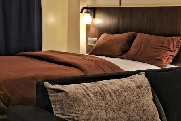 Deluxe Stüdyo, 1 Yatak Odası, Şehir Manzaralı