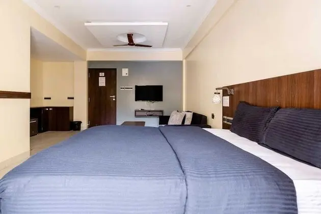 Deluxe Stüdyo, 1 Yatak Odası, Şehir Manzaralı