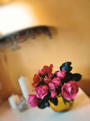 Superior Tek Büyük Yataklı Oda, Banyolu/Duşlu, Bahçe Manzaralı (Girasole)
