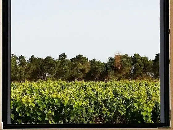 Stüdyo, Engellilere Uygun, Küçük Mutfak (Negramaro)