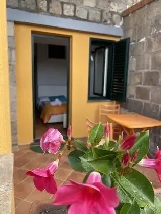 Basic Tek Büyük Yataklı Oda