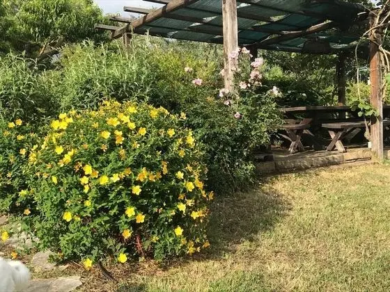 Villa, 6 Yatak Odası, Şömine