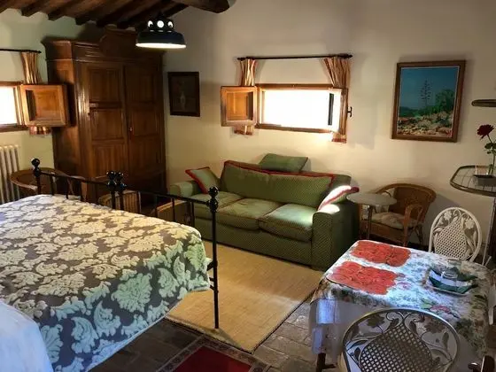 Standard Tek Büyük Yataklı Oda, Bahçe Manzaralı