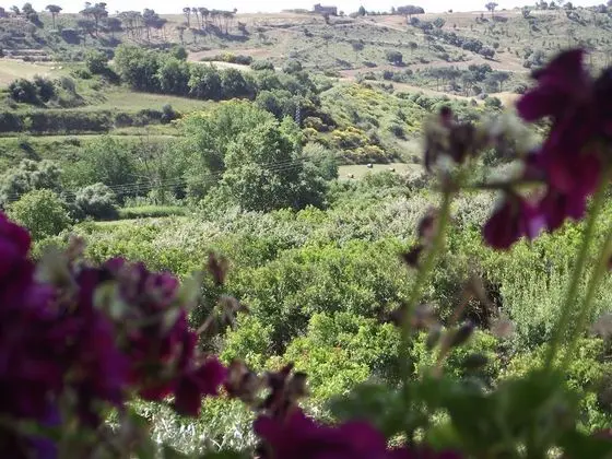 Dört Kişilik Oda, Bahçe Manzaralı