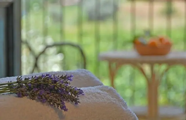 Tek Büyük Yataklı Oda, Balkon, Bahçe Manzaralı