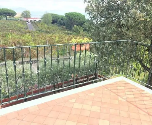 Panoramic Oda, 1 Çift Kişilik Yatak, Deniz Manzaralı, Bahçeli