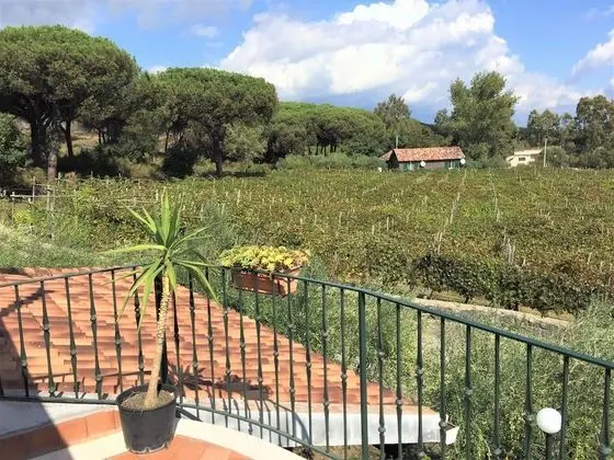 Panoramic Oda, 1 Çift Kişilik Yatak, Deniz Manzaralı, Bahçeli