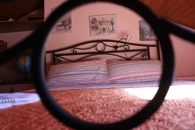 Family Oda (Giuliana) (Attic)