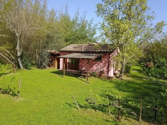 Comfort Apart Daire, 1 Yatak Odası, Mutfak, Bahçe Manzaralı