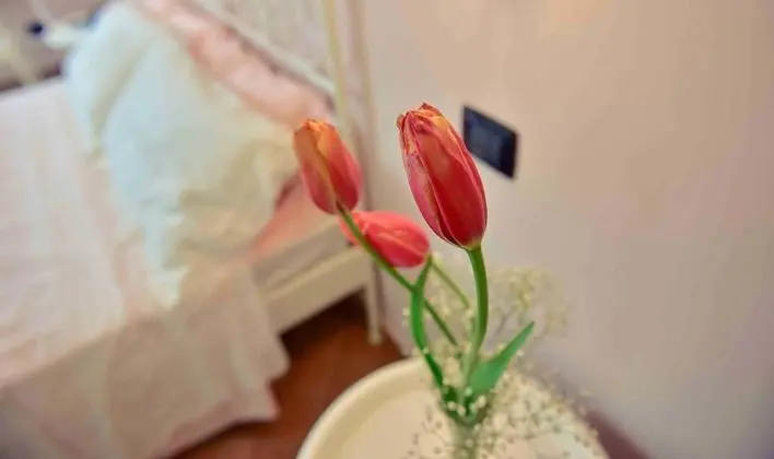 Romantic Büyük Yataklı Tek Kişilik Oda