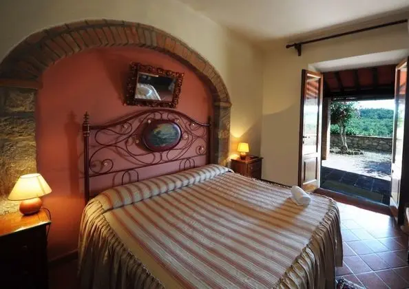 Traditional Tek Büyük Yataklı Oda, Bahçe Manzaralı