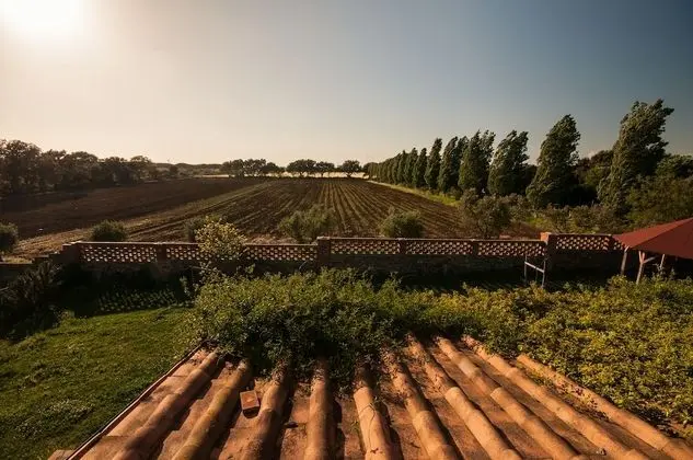 Family Oda, Sigara İçilmez