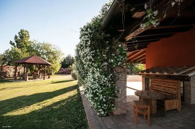 Standard Tek Büyük Yataklı Oda, Sigara İçilmez