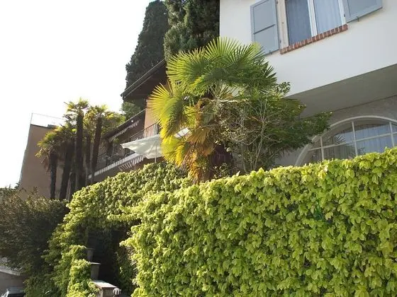 Ev
