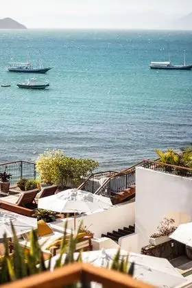 Junior Süit, 1 Büyük (Queen) Boy Yatak, Balkon, Okyanus Manzaralı