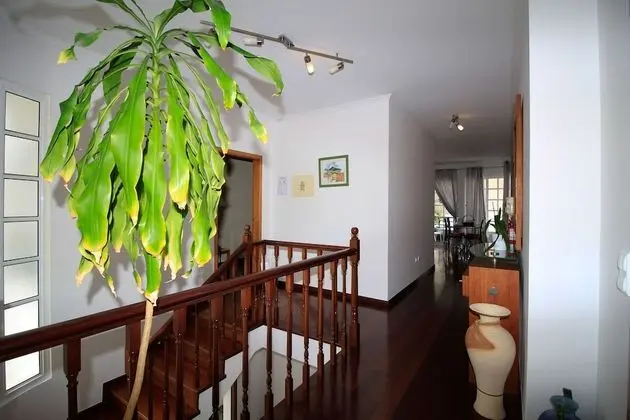 Apart Daire, 3 Yatak Odası, Şehir Manzaralı, Denize Sıfır