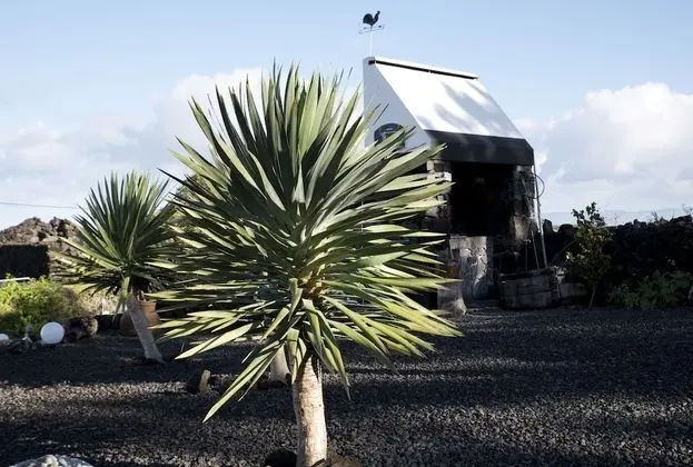 Apart Daire, 1 Yatak Odası, Veranda (Arinto)