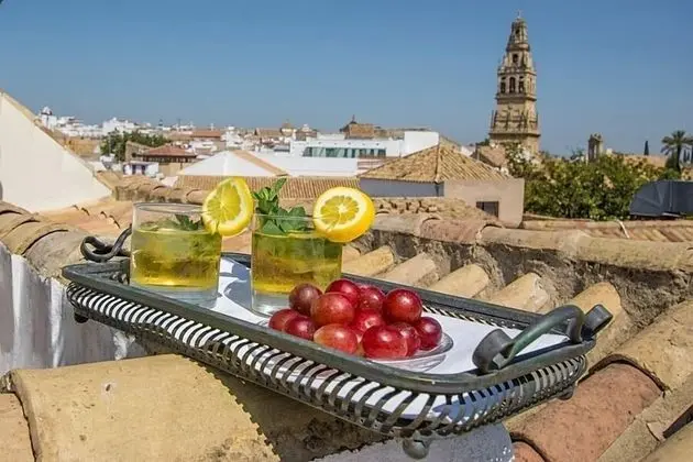 Çatı Katı Süiti (Penthouse), Teras