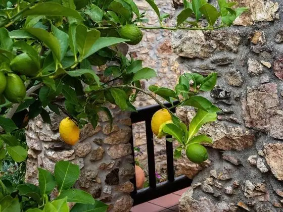 Ev, Birden Çok Yatak