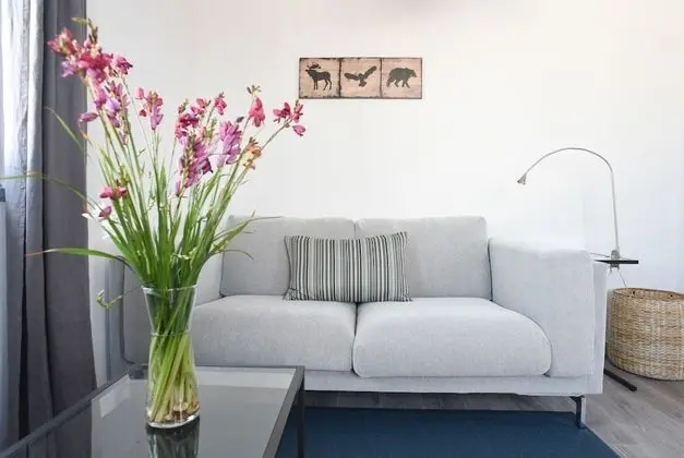 Apart Daire, 2 Yatak Odası (Blue)