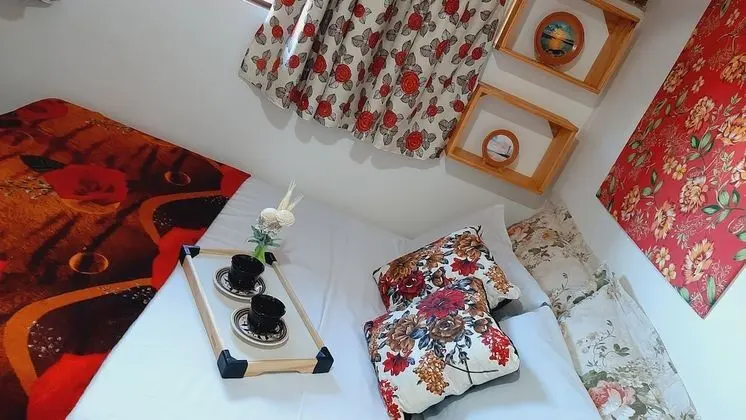 Traditional Ev, 1 Çift Kişilik Yatak