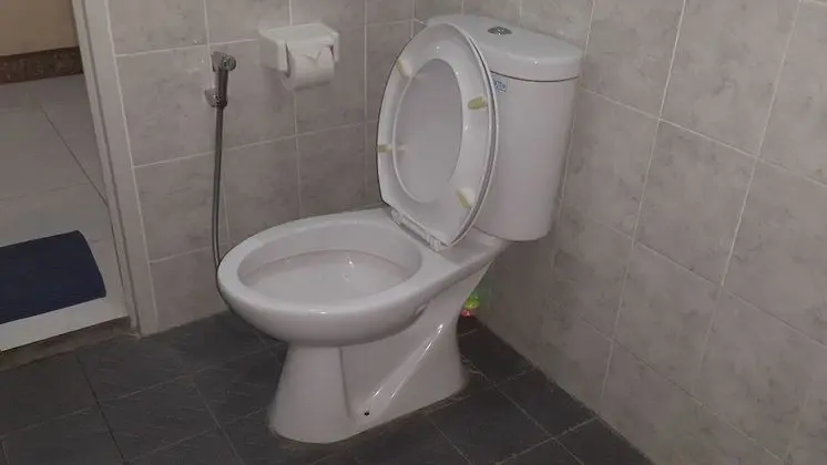 Deluxe Tek Büyük Yataklı Oda, Dağ Manzaralı