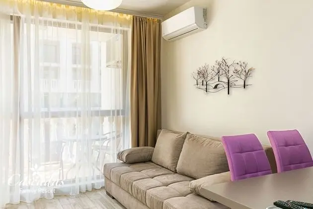 Large Standard Studio