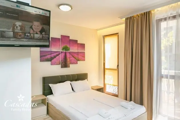 Large Standard Studio