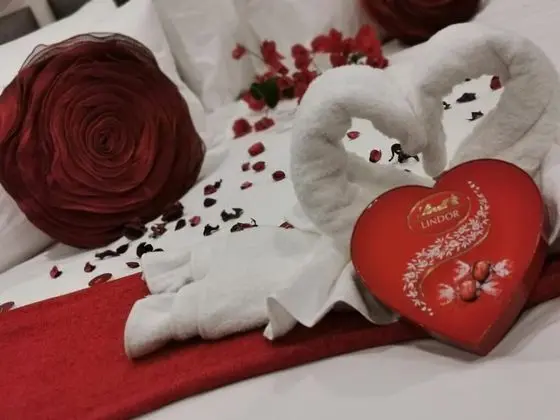 Luxury Tek Büyük Yataklı Oda