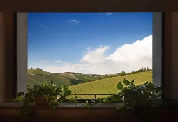 Standard Tek Büyük Yataklı Oda, Üzüm Asması Manzaralı