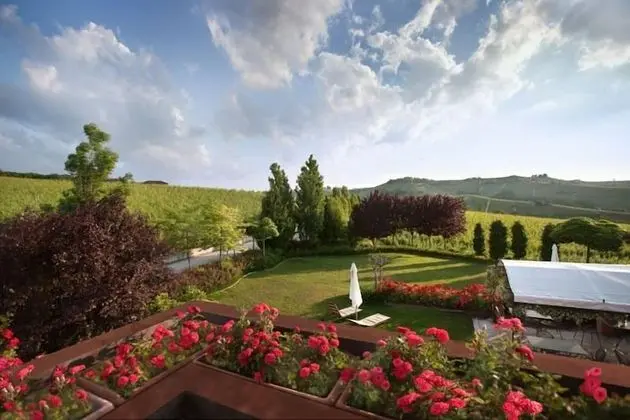 Superior Tek Büyük Yataklı Oda, Balkon, Üzüm Asması Manzaralı