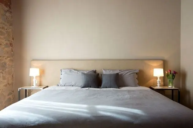 Deluxe Tek Büyük veya İki Ayrı Yataklı Oda, Üzüm Asması Manzaralı