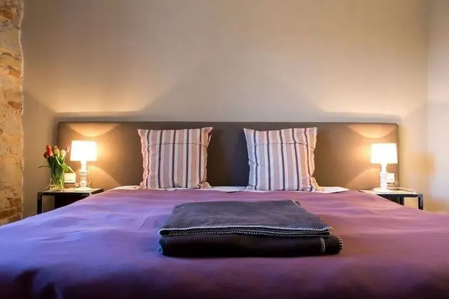 Deluxe Tek Büyük veya İki Ayrı Yataklı Oda, Üzüm Asması Manzaralı