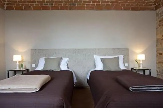 Deluxe Tek Büyük veya İki Ayrı Yataklı Oda, Üzüm Asması Manzaralı