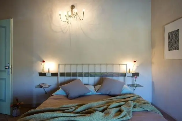 Standard Tek Büyük Yataklı Oda, Üzüm Asması Manzaralı